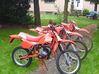Tornax_RX_25_049.JPG