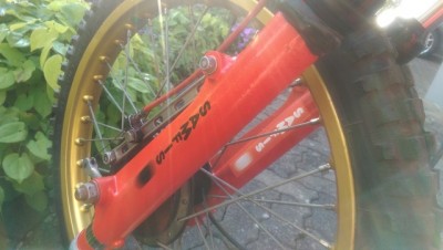 IMAG0519 f.jpg