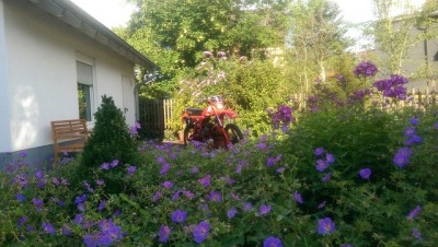 IMAG0527 f.jpg