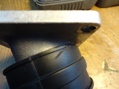 DSC02265.jpeg