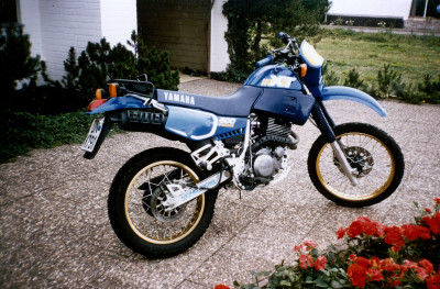 XT 600.jpg