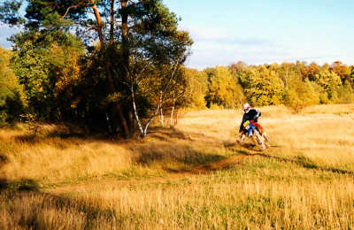 Heide mit XT 600.jpg